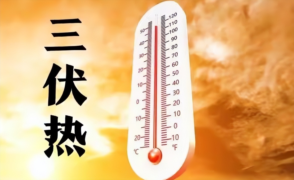 2022年的头伏是公伏还是母伏,2021年的伏天是公伏还是母伏