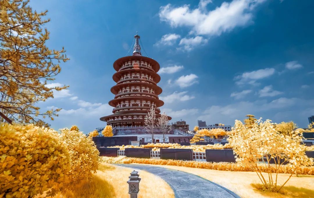 洛阳是宜居城市吗,洛阳是一个宜居城市吗