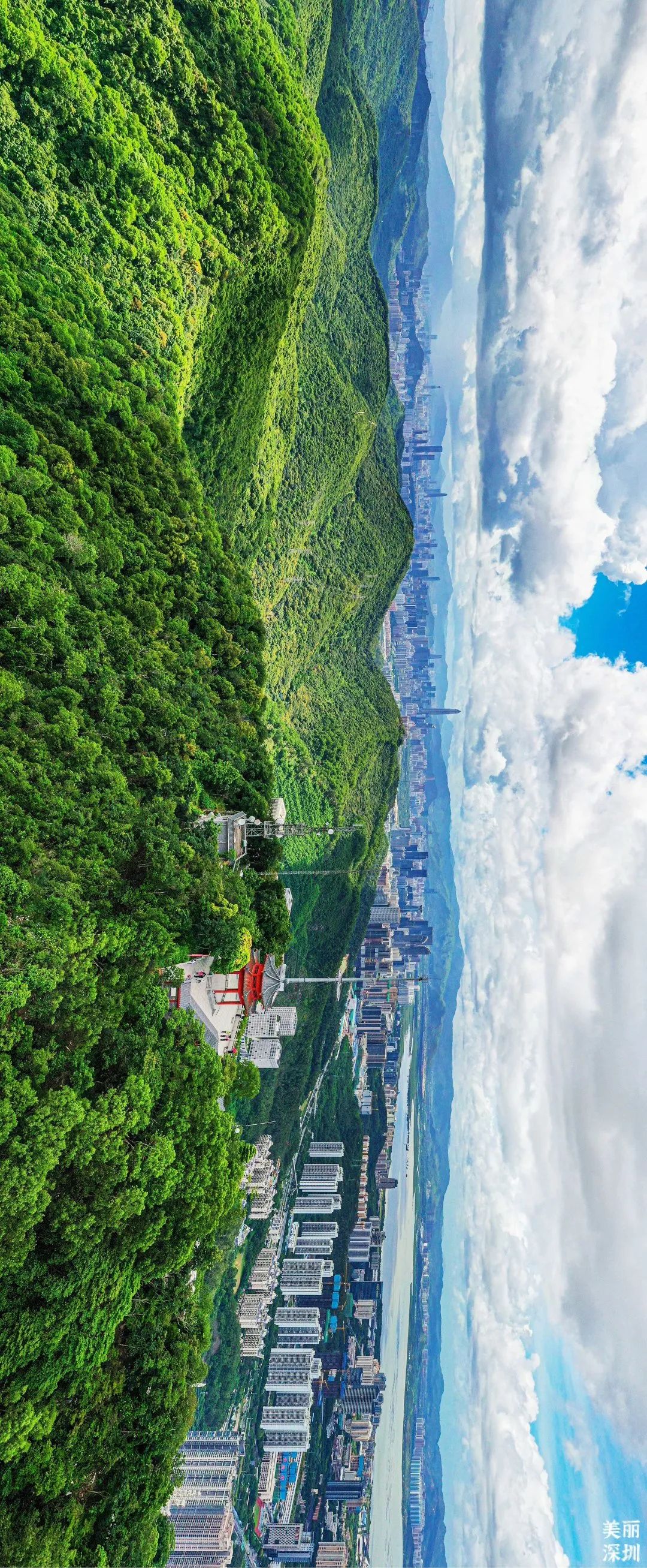 深圳最美公园是什么样子的,深圳市最美公园图片欣赏