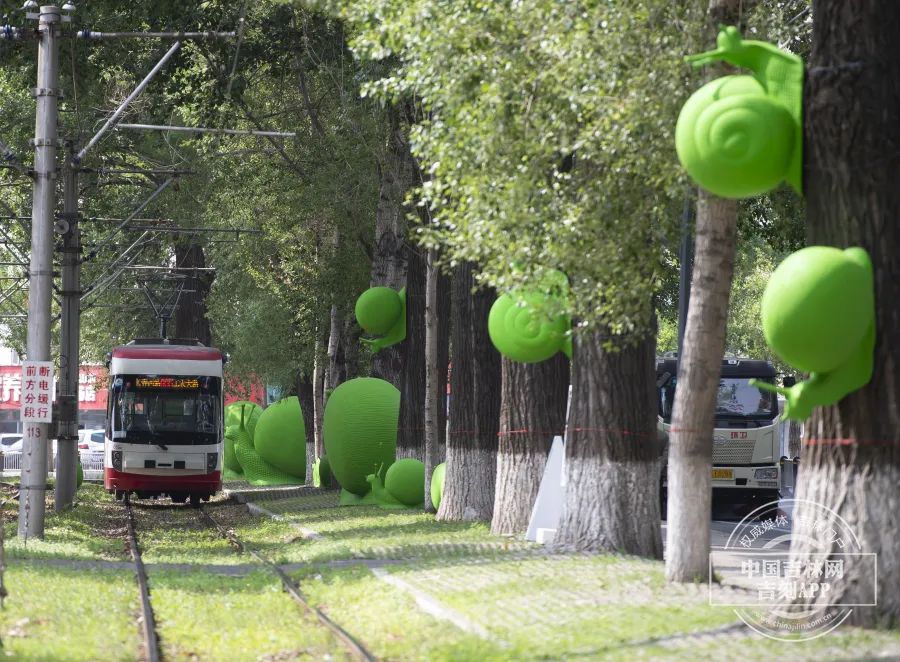 在长春上大学,太爽了吧!