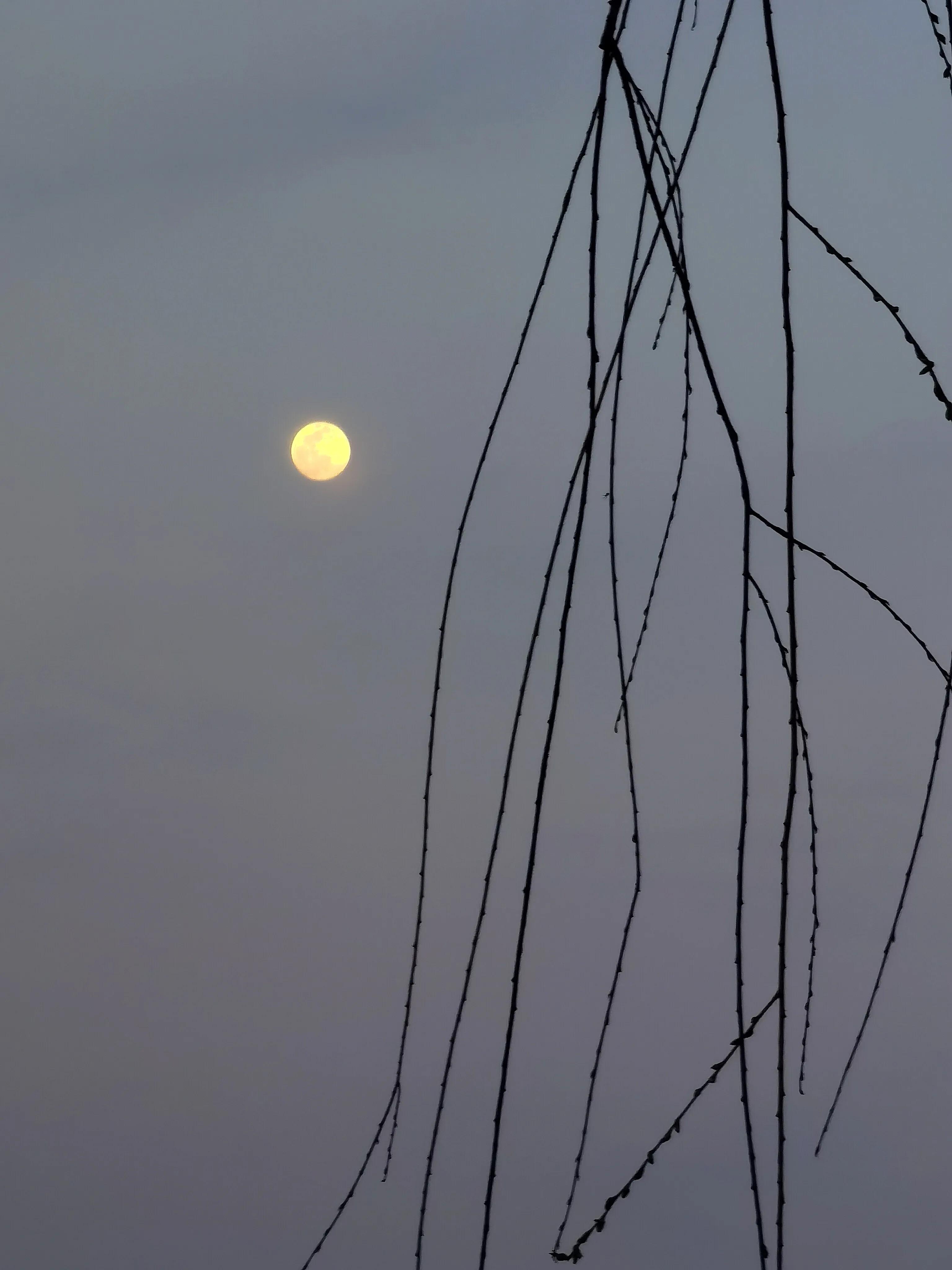 手拍世界手机摄影平台,手机摄影平台手拍世界