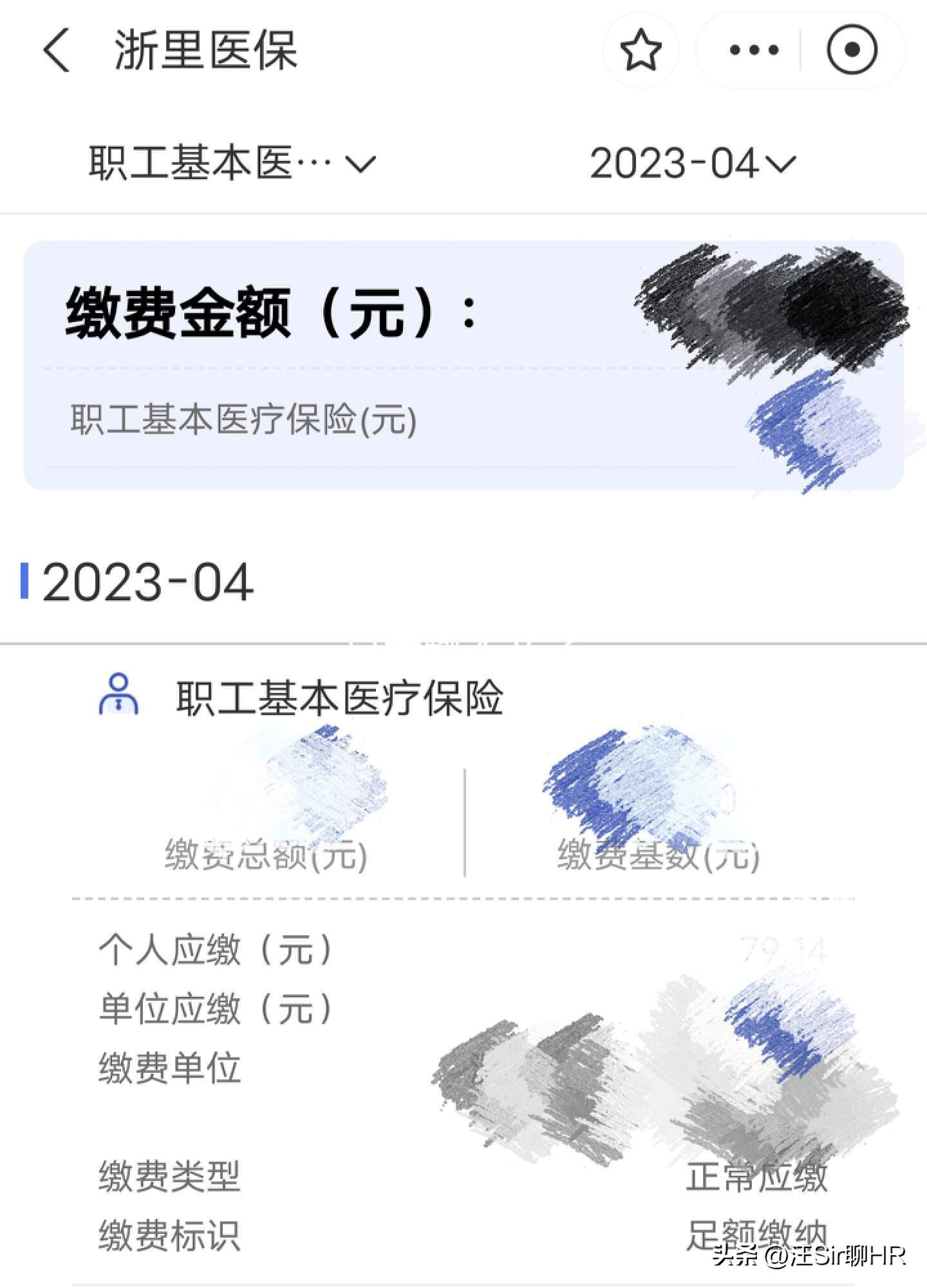手机怎样查询医保缴费明细,手机上如何查询医保缴费详情