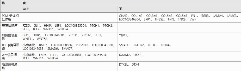 短毛兔和长毛兔小时候的区别,短毛和长毛的区别图片