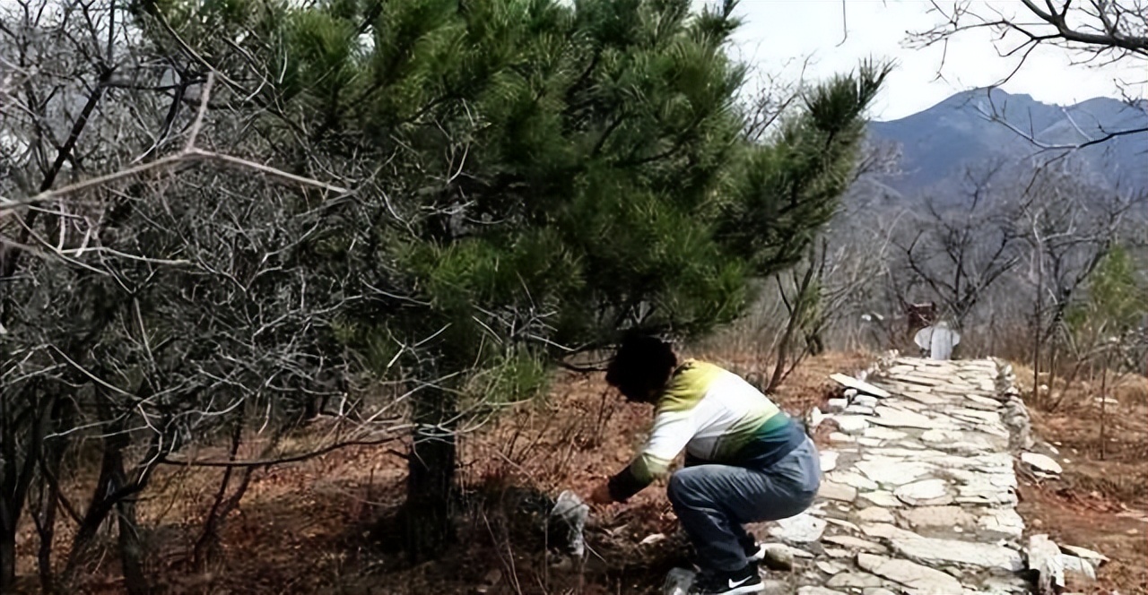 新手养花必学自制营养土,营养土田园土养花1比1可以吗