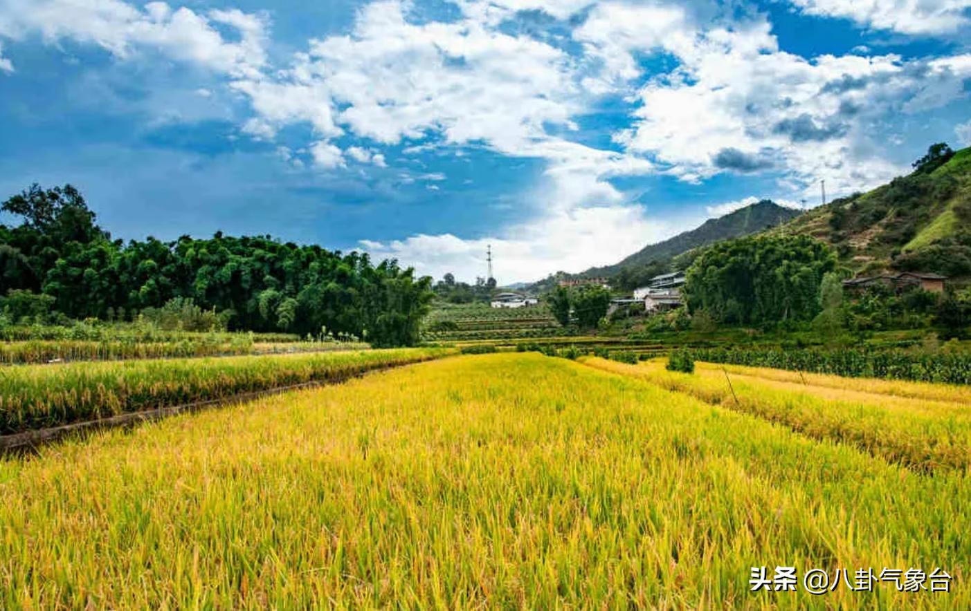 乔羽去世故事,乔羽逝世原因