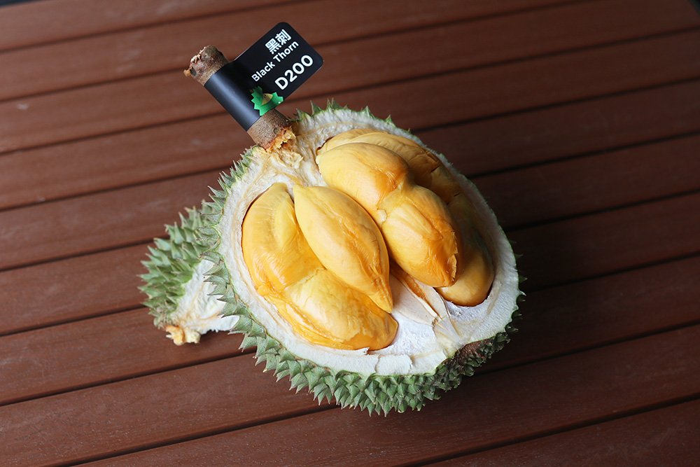 马来西亚黑刺榴莲什么时候上市,马来西亚哪个州产黑刺榴莲