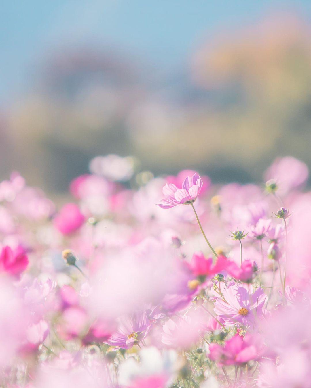 下雨伤感的句子带人生感悟,下雨伤感的句子100字