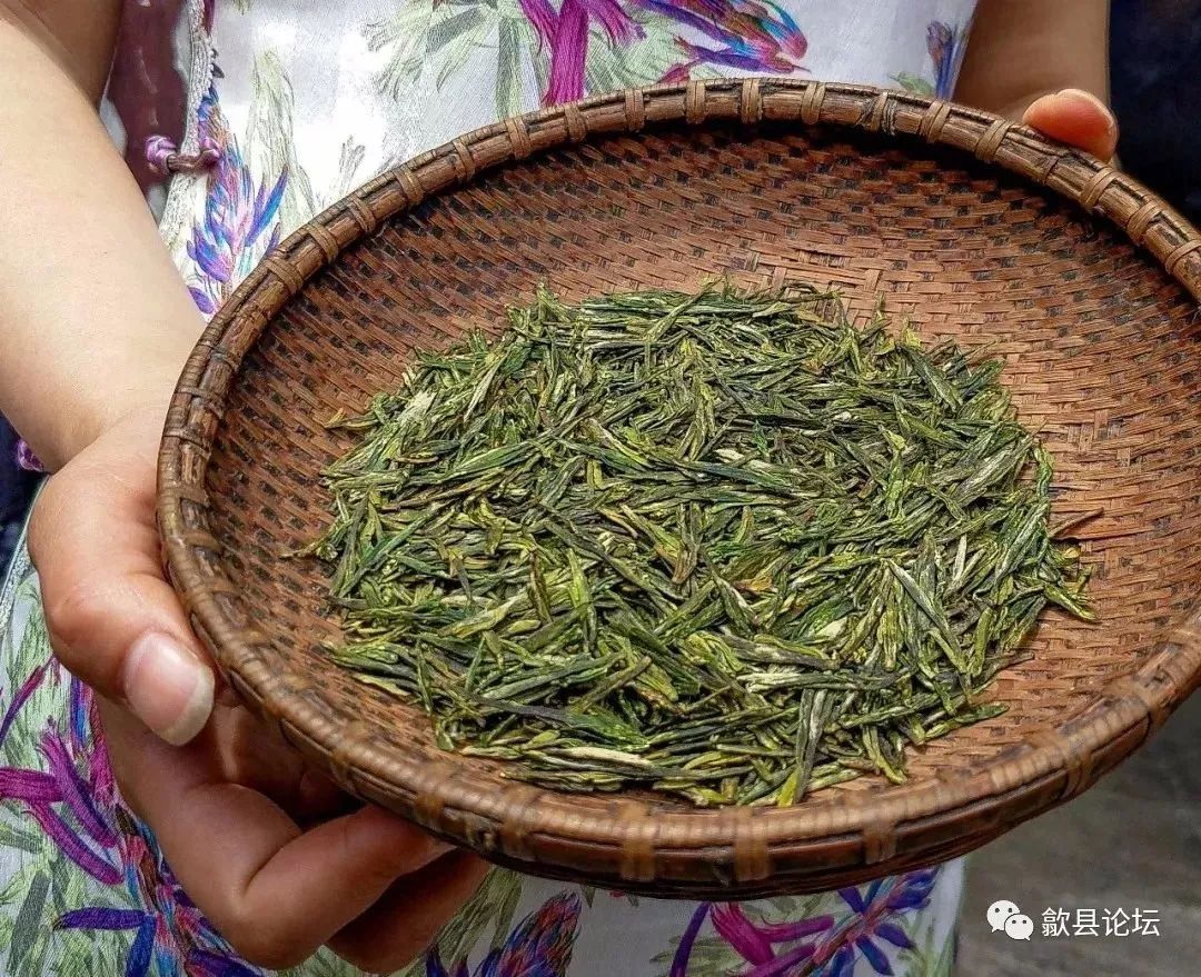 绿茶种类大全介绍,高档龙井绿茶有哪些种类