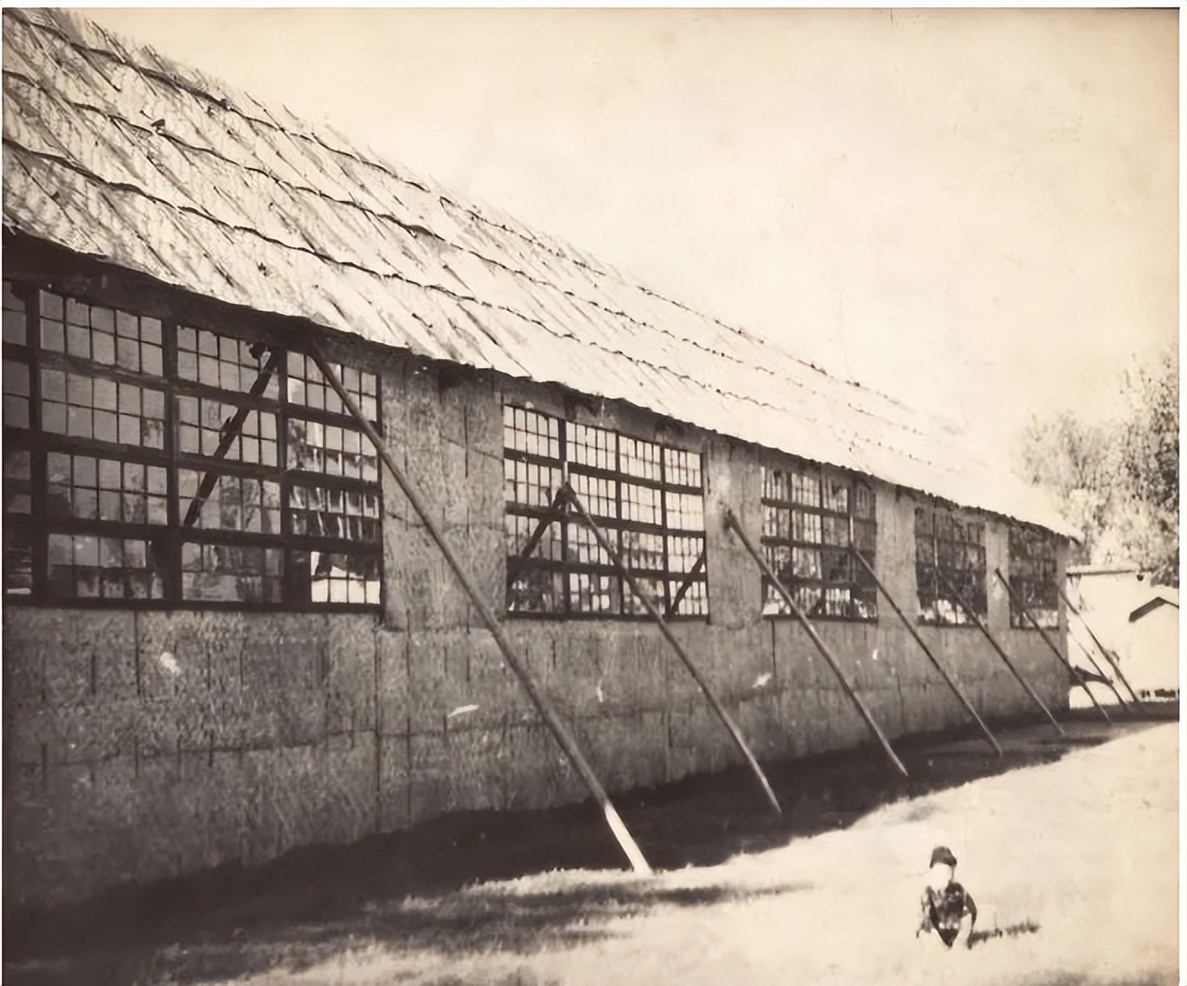 “广美，我恨你一辈子”