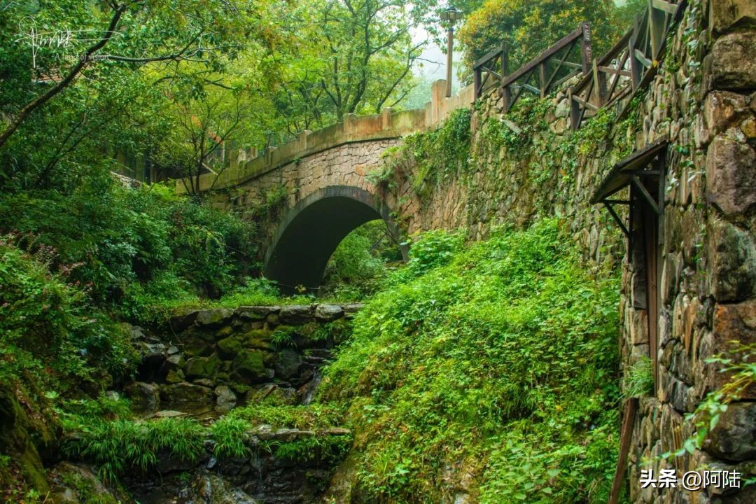 宁海天明山森林温泉小木屋,宁海最好的温泉度假区