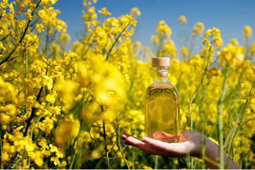 健康食用油无添加剂,食用油健康成分