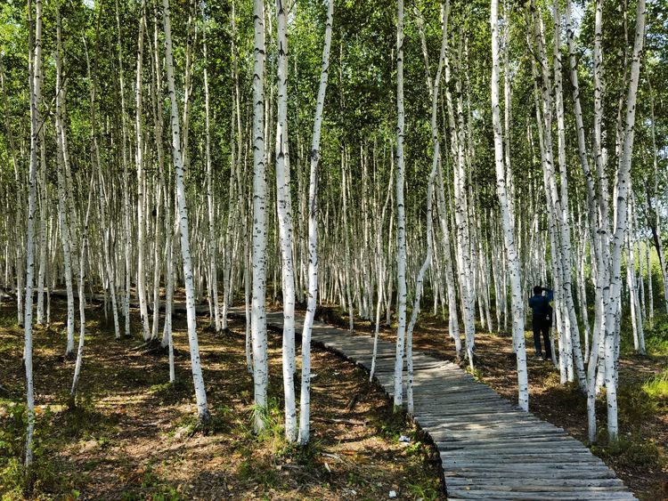 龙江县龙江第一湾,龙江第一湾山顶全貌