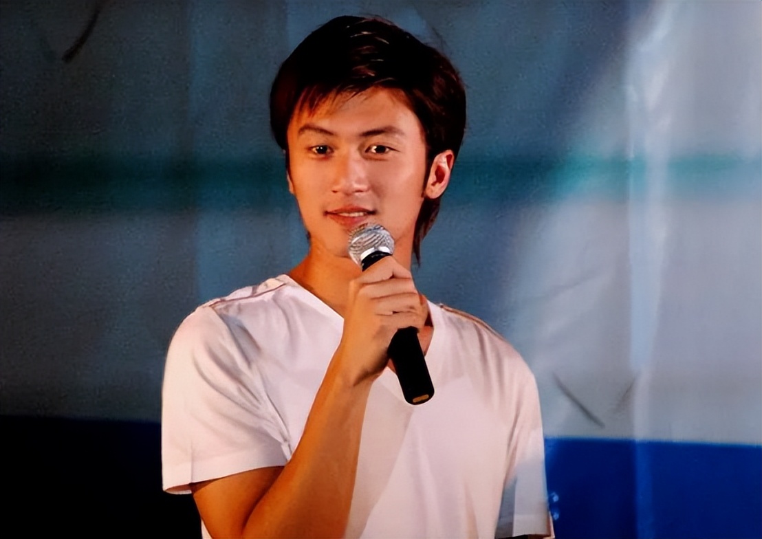 谢霆锋年轻时的颜值港风,谢霆锋颜值巅峰白发