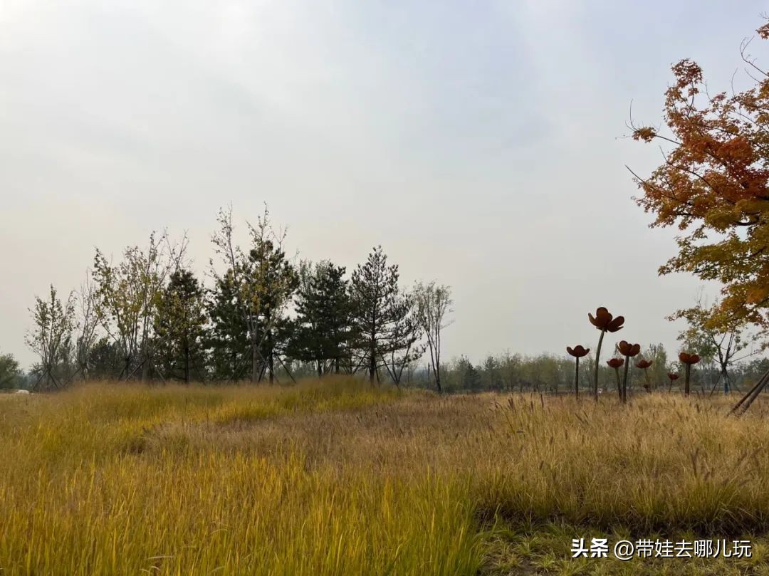 藏在二环的超小众免费公园,免费游玩的小公园