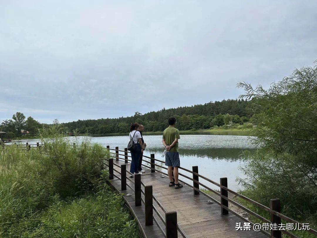 长白山二道白河旅游攻略7月游,自驾二道白河长白山旅游攻略