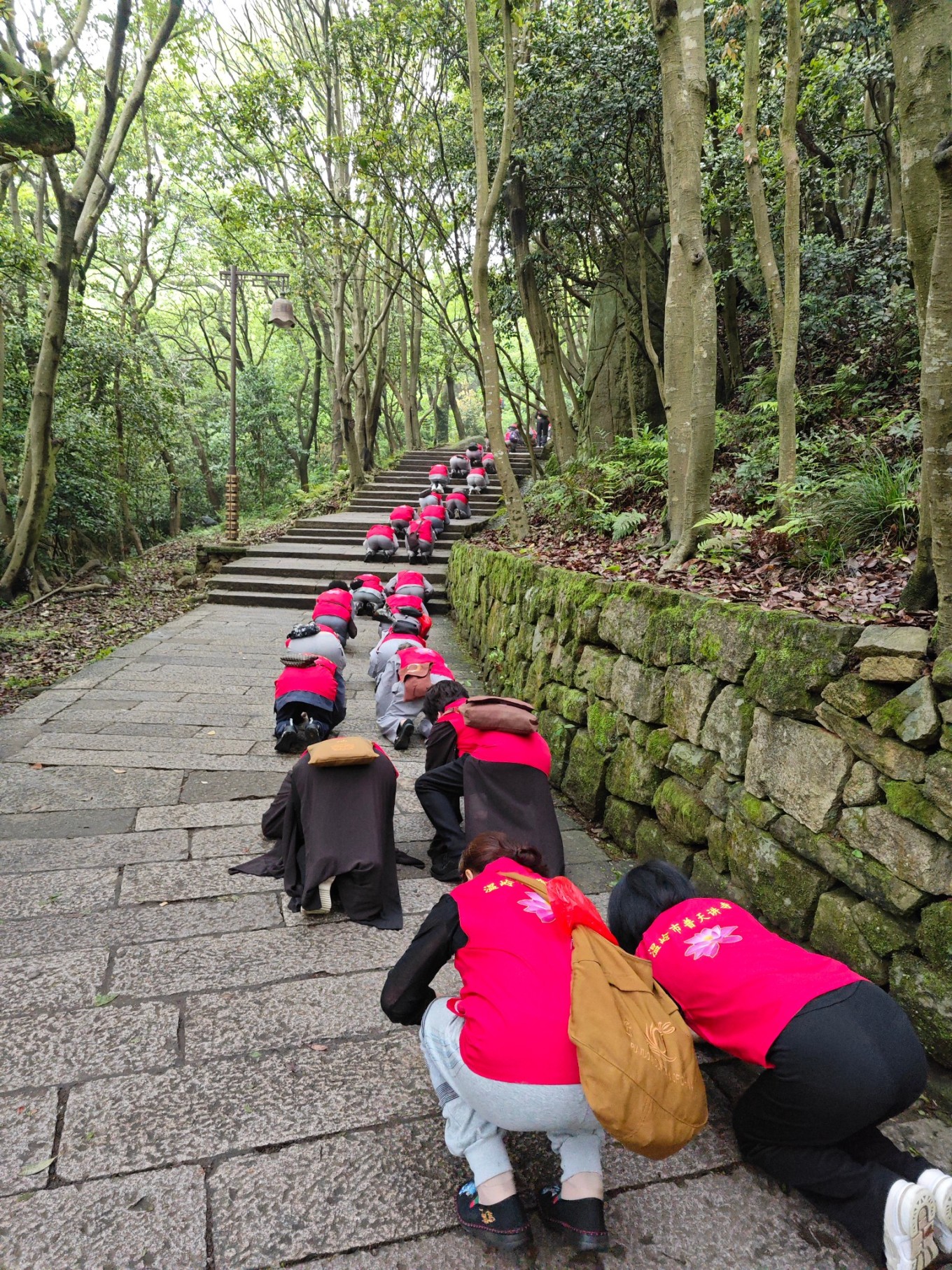 普陀山二日祈福游,普陀山朝拜二日行
