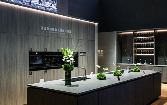 第一光环,第一代派克