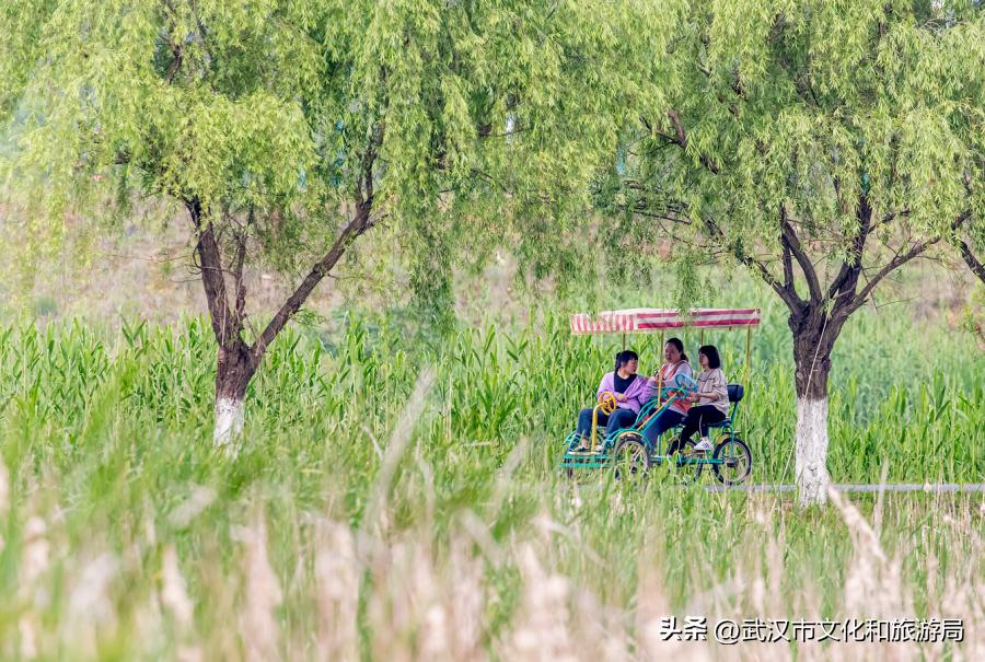 端午游攻略视频,端午出行攻略视频