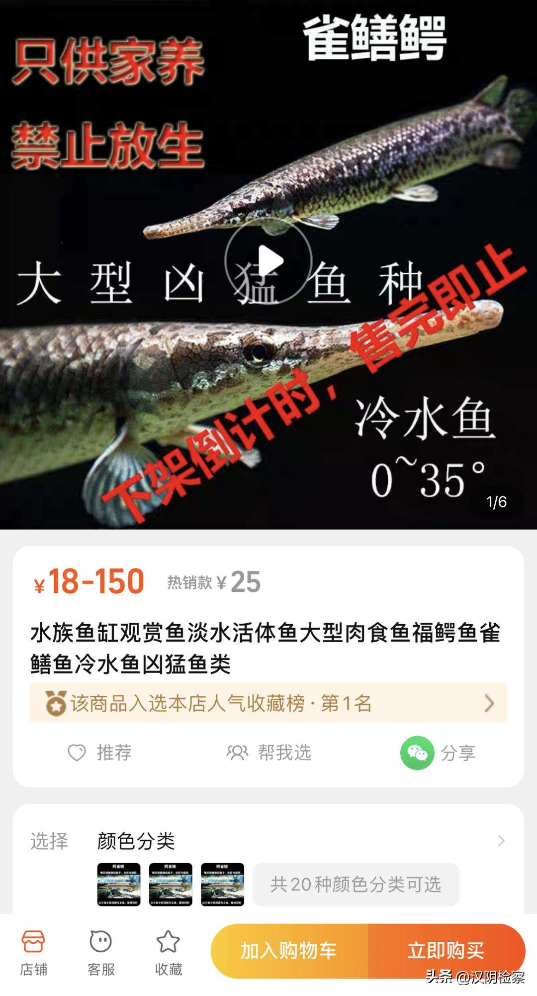 鳄雀鳝“来者不善”电商平台任意卖随意放生恐涉嫌违法应尽快划定销售红线