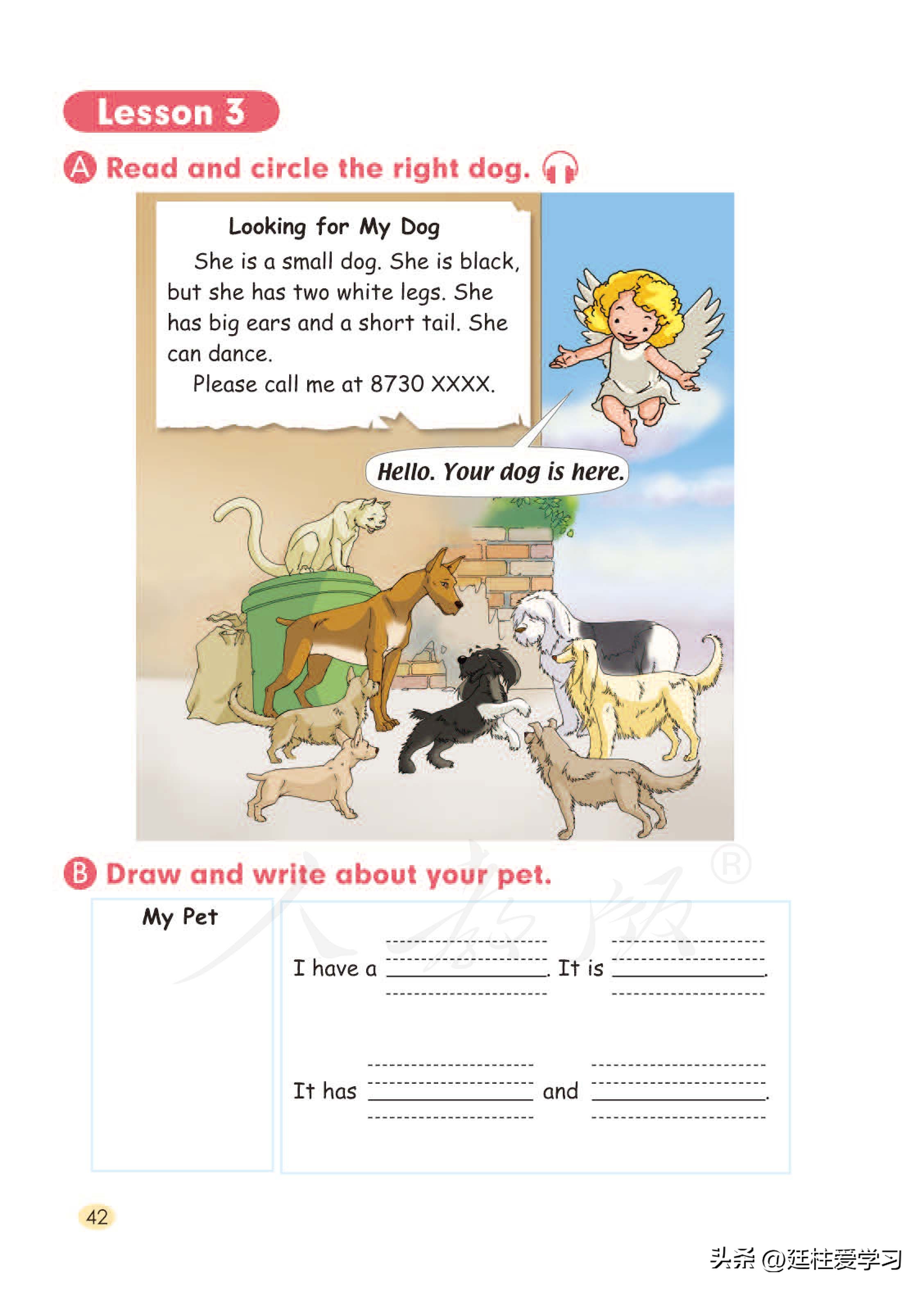 小学英语外研版三年级上册,小学英语精通版三年级上册