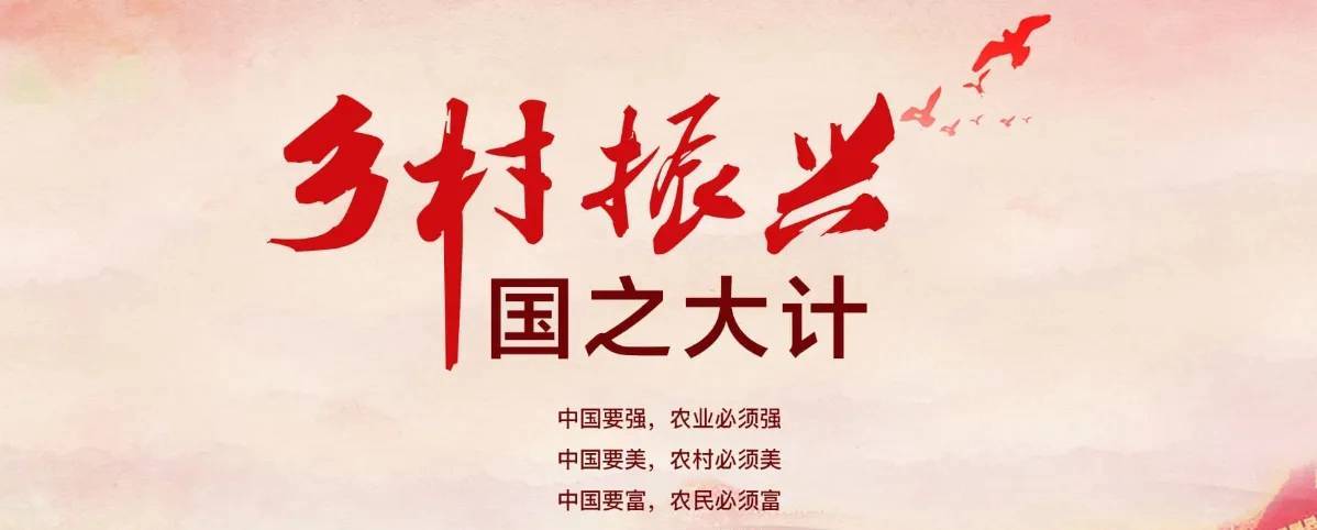 武当优品电商怎么样啊,武当优品电商怎么样