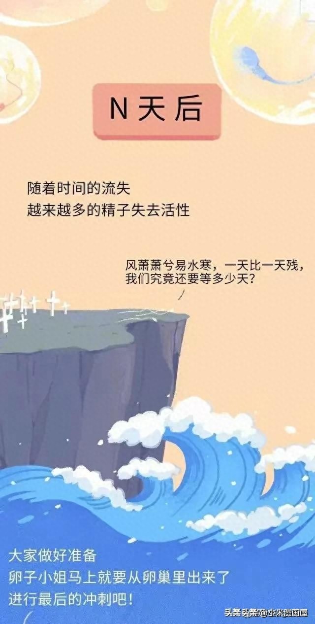 精子进入女性体内的24小时，都经历了什么？漫画