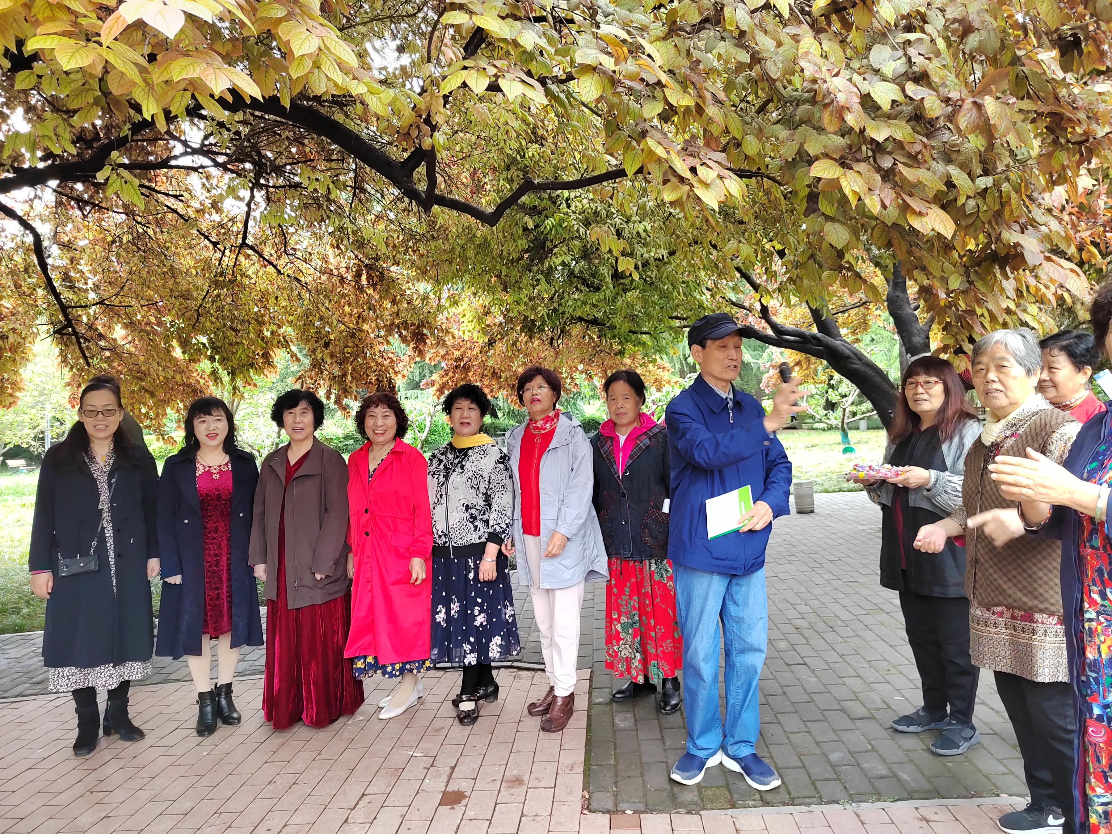 西安少年合唱团,西安合唱团全部歌曲