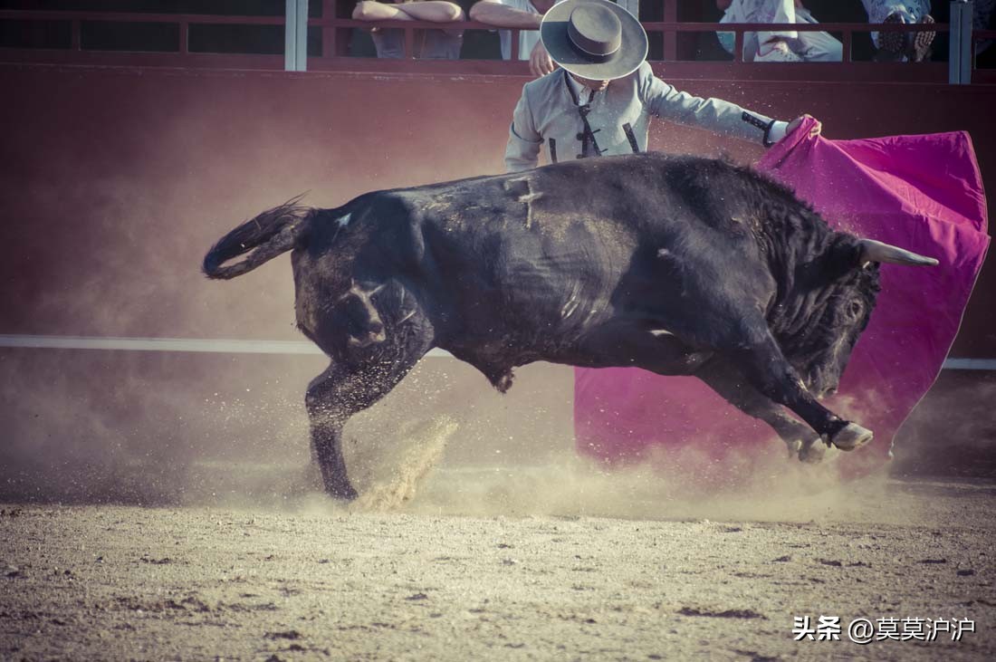 不一样的美男,不一样的父亲
