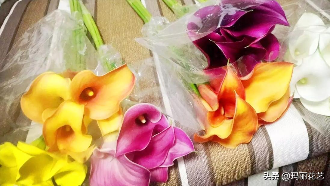 鲜切花马蹄莲怎么养才能开花,彩色马蹄莲切花养护的条件