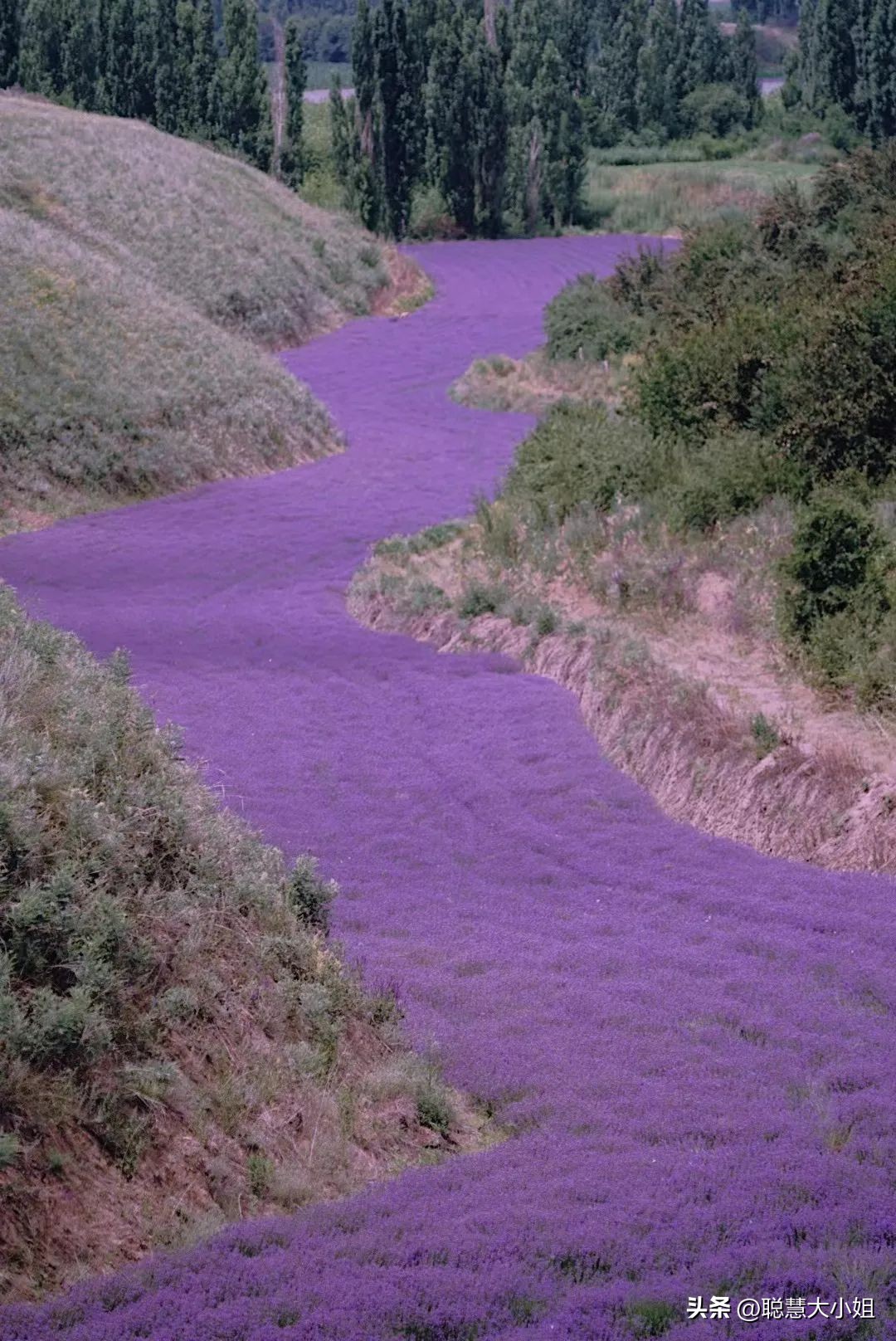 *疆新**，美到封神！配得上“她”的民宿有多少？