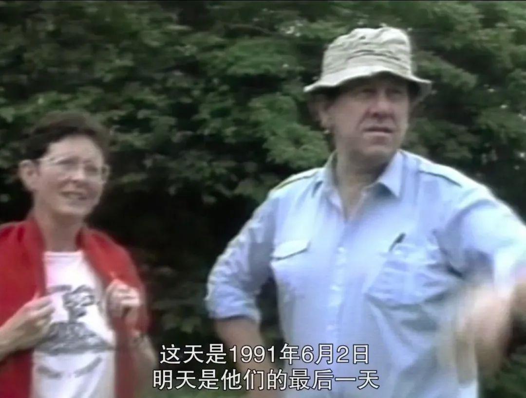 盘点内娱cp18年,内娱哪对cp可能是真的