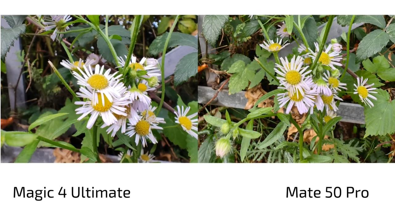 华为mate50pro和荣耀magic4至臻对比,华为mate50pro对比荣耀magic4至臻版