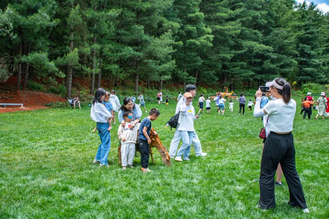 昆明旅游攻略一日游景点推荐理由,昆明玩耍推荐景点一日游攻略图