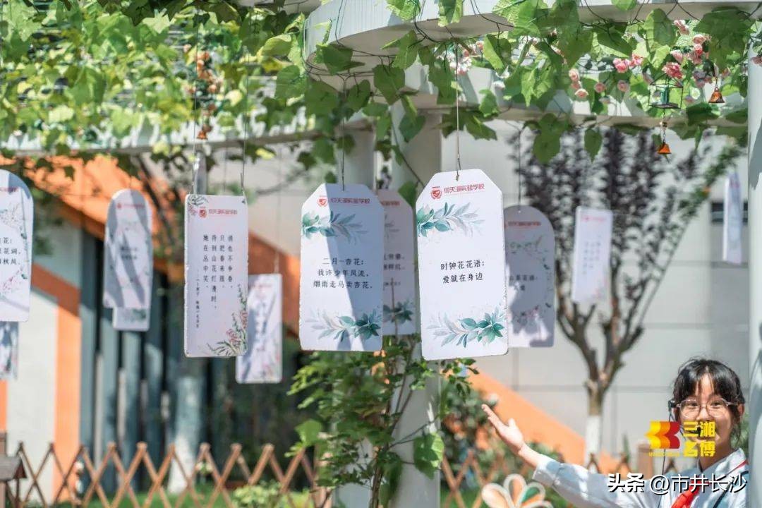 仰天湖天心实验学校,仰天湖实验小学怎么样