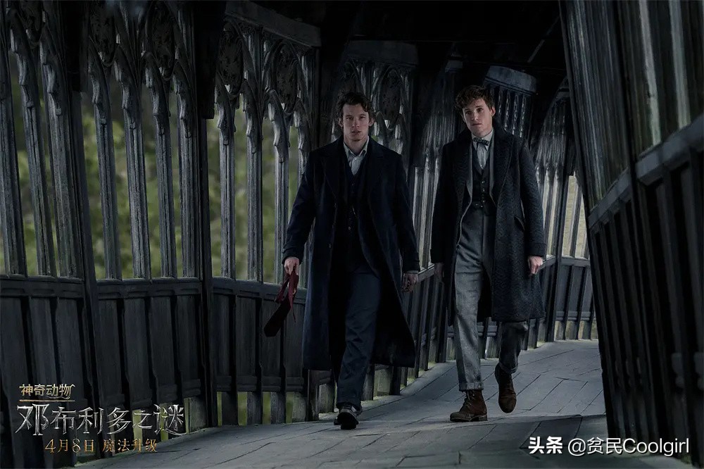 神奇动物之邓布利多之谜免费观看,神奇动物邓布利多之谜彩蛋