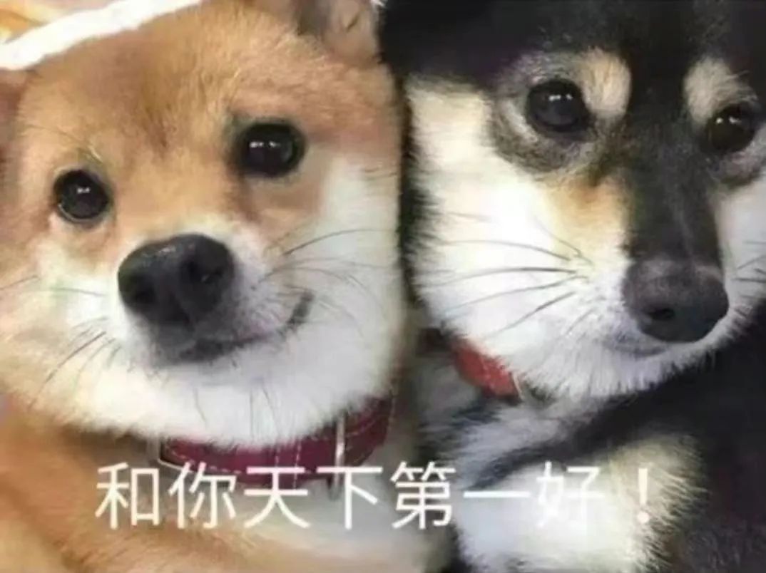 美国最受欢迎学校,最受国内认可的美国大学