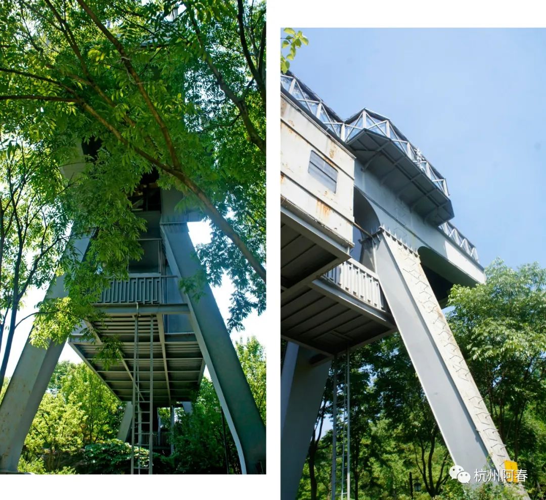 杭州人看钱塘江,逛逛浙江杭州白塔公园