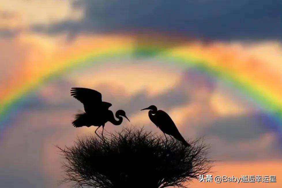 我们总以为来日方长忘了世事无常,总以为来日方长却忘了世事无常dj