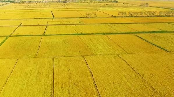 正哥闲话广盛原,正哥闲话