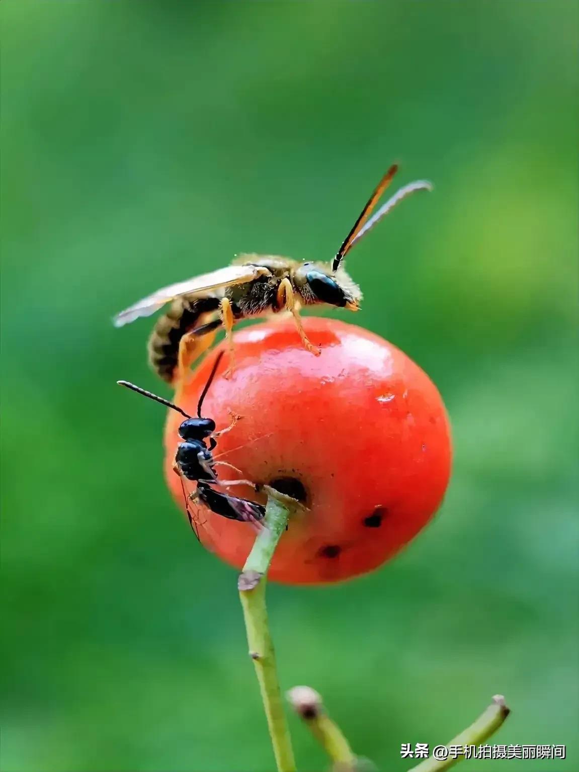 浠婃棩澶存潯鎺ㄨ崘鍓槧,浠婃棩澶存潯鎺ㄨ崘