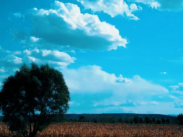 山西岚县有什么地方,县委大院岚县在哪里