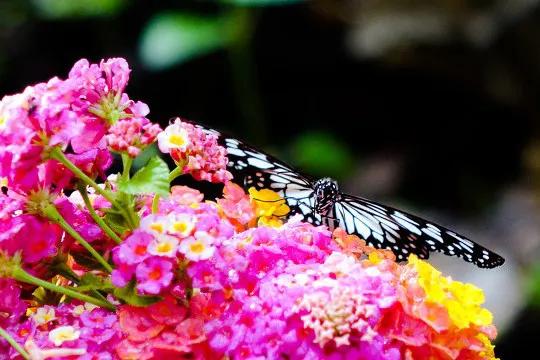 给10年前的我一封信,来自十年前的一封信