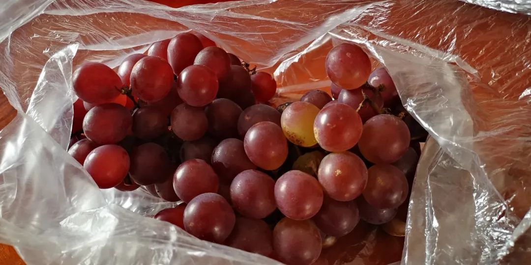 唐山哪卖辽峰葡萄,两串葡萄卖五百