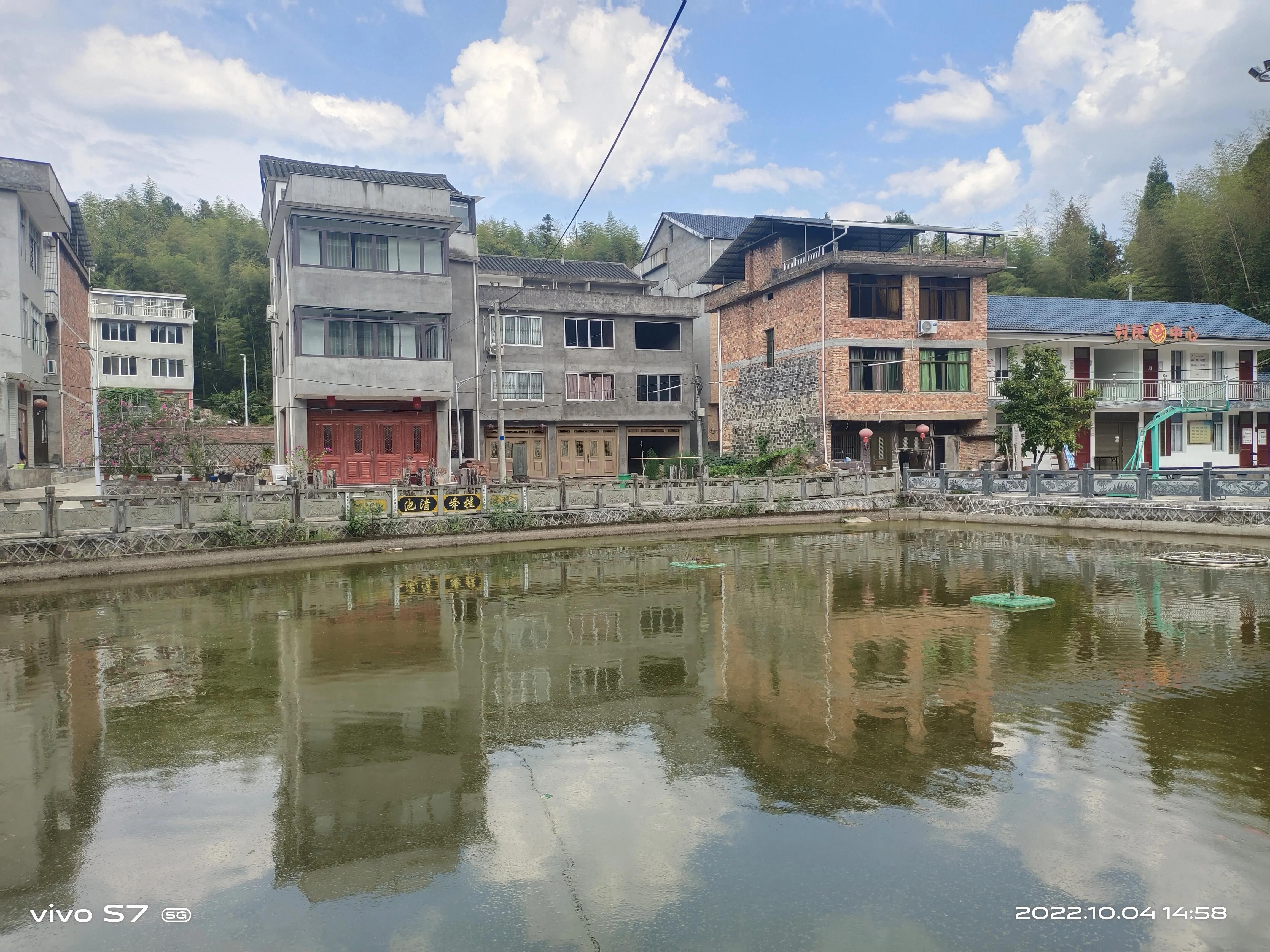 泰顺三杯香茶官网,泰顺县三杯香茶产地