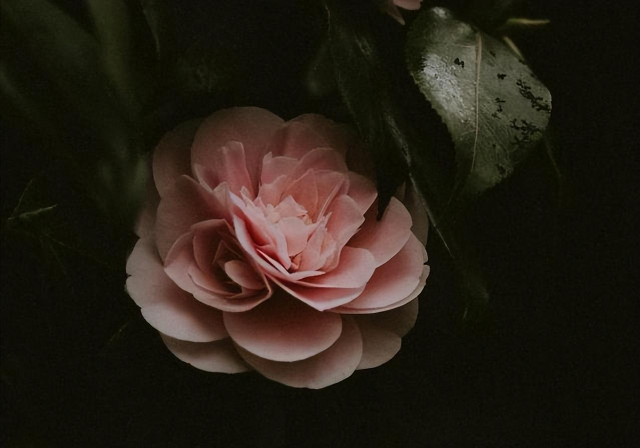 如果婚后发现自己不爱他了怎么办,婚姻没有对错离婚就要学会放手