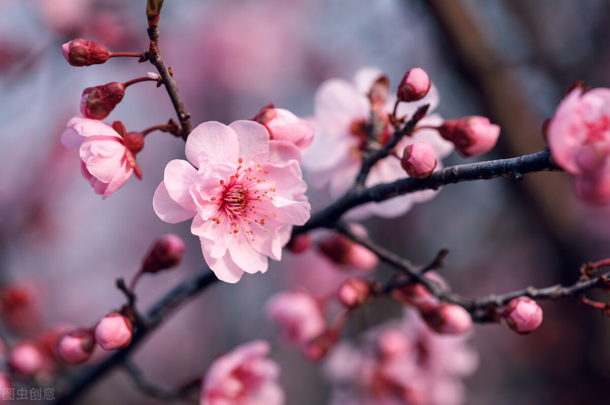 有一种爱是一辈子的挂念,真正的爱是一生的守候