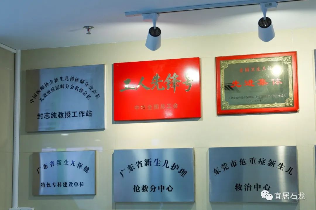 长颈鹿医院官网,长颈鹿医院看病