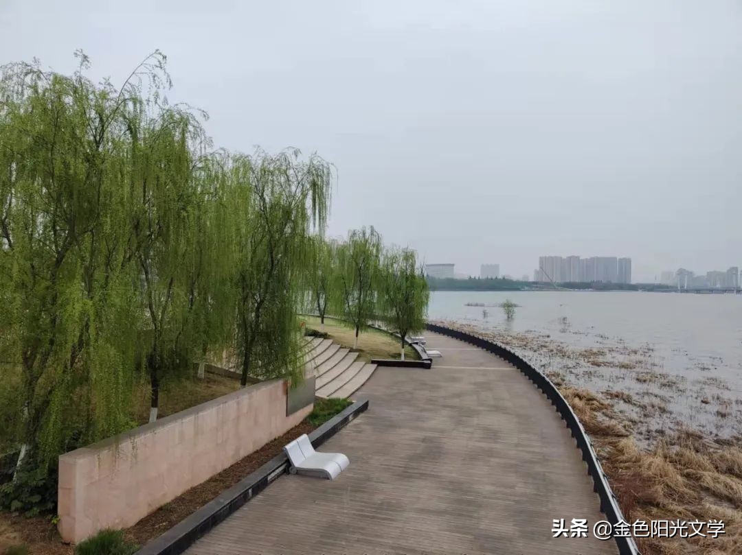 那一刻我长大了400字五年级,那一刻我长大了作文500字