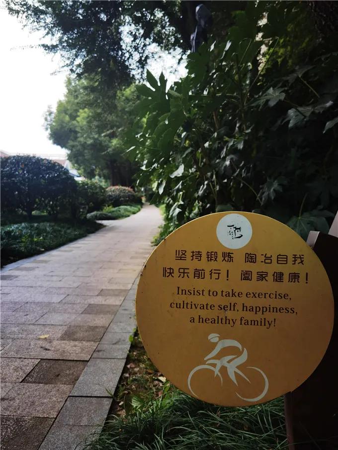 南京塑胶健身步道,10条南京最美步道