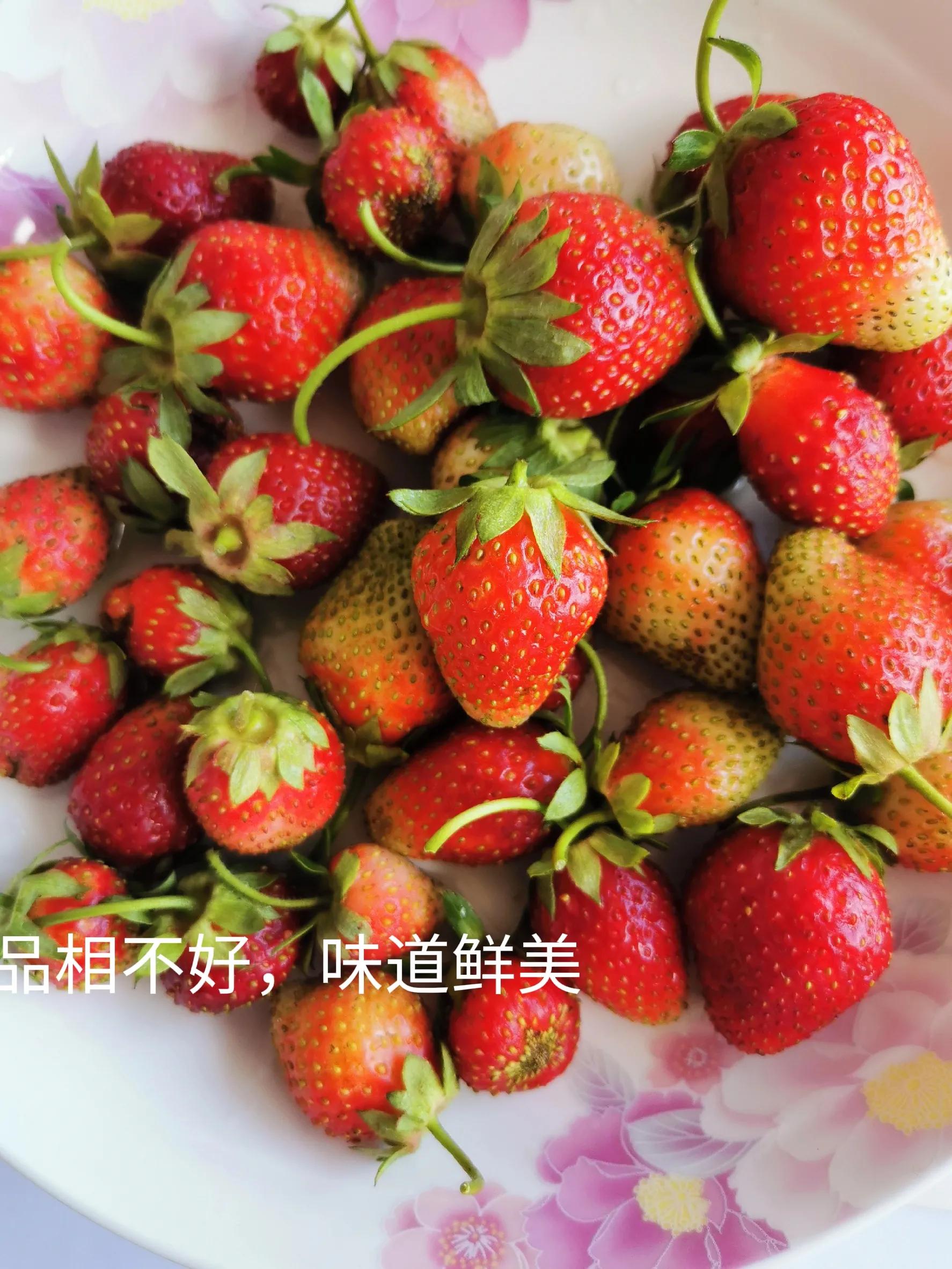 人生的路上靠自己才是硬道理,人生干什么事都要趁早